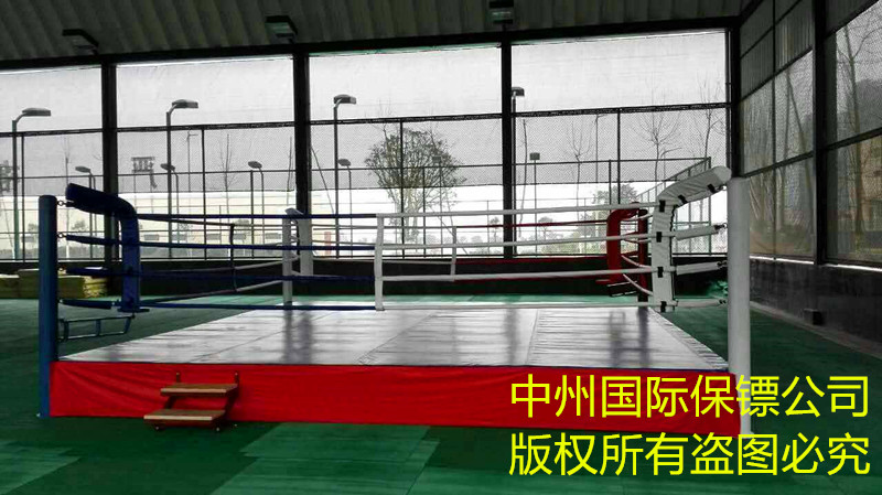 中州 保鏢公司 國際標準格斗擂臺