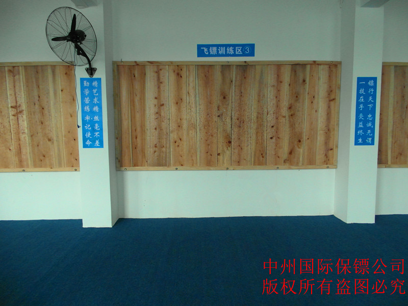 中州 國際保鏢公司 飛刀、飛鏢訓練區